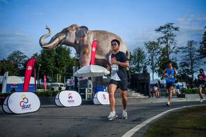 BIB: 
                            <button type="button" onclick="openModal(26541938)" class="btn btn-primary btn-sm float-right btn-popup" data-toggle="modal" data-target=".modal-high-quality">
                        <i class="fas fa-shopping-cart"></i> Add to Cart
                    </button>
                                            <button type="button" onclick="isThisMe(26541938, true)" class="btn btn-success btn-sm float-right btn-popup btn-isme hidden" data-toggle="tooltip" data-placement="bottom" title="นี่คือรูปของคุณใช่ไหม คลิกที่นี่เพื่อเอาเข้าอัลบั้ม">
                        <i class="fas fa-plus"></i> Add to album
                    </button>
                    <button type="button" onclick="isThisMe(26541938, false)" class="btn btn-warning btn-sm float-right btn-popup btn-isnotme hidden">
                        <i class="fas fa-ban"></i> Remove from album
                    </button>